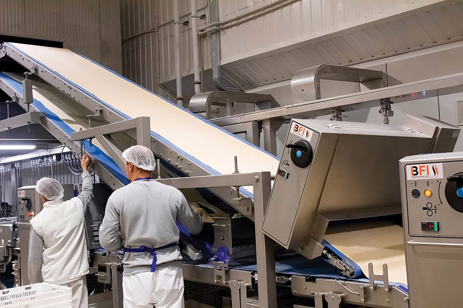 Стратегія розвитку компанії Bakery Food Investment